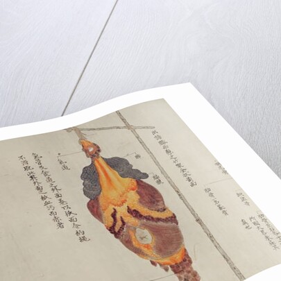 The lungs from the dissection of a torture victim of 1796 by Japanese School