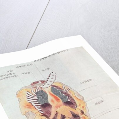 A disembowelled body from the dissection of a torture victim of 1796 by Japanese School