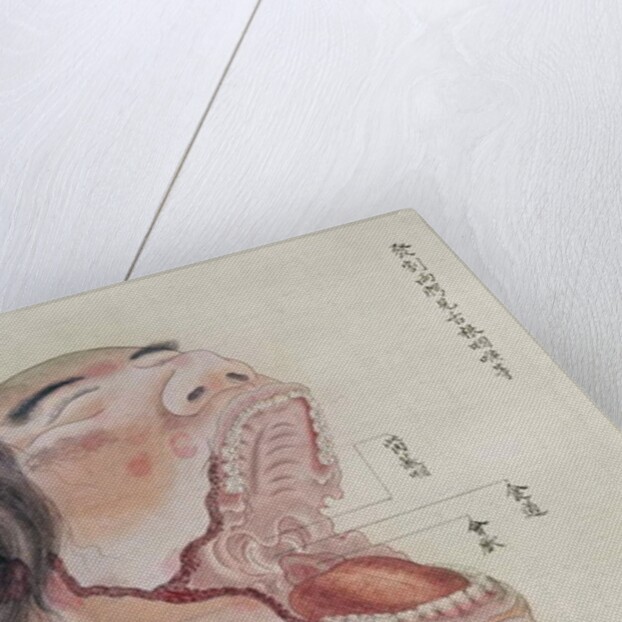 The anatomy of the mouth by Japanese School