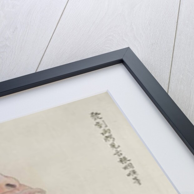 The anatomy of the mouth by Japanese School