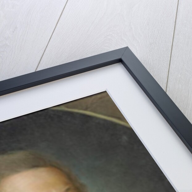 Portrait of Voltaire by Jean Huber