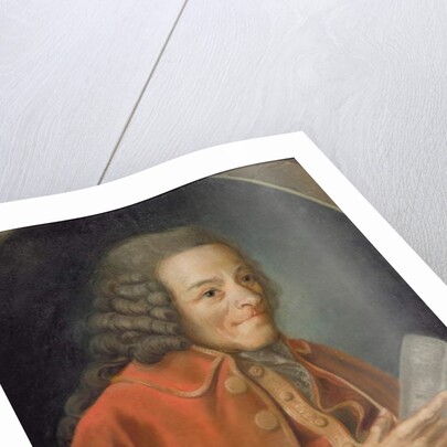 Portrait of Voltaire by Jean Huber