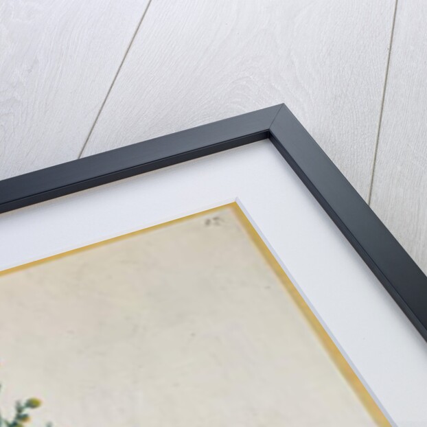 bsinth by Elizabeth Blackwell