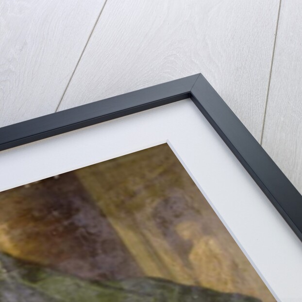 Charles Gravier Count of Vergennes by Antoine Francois Callet