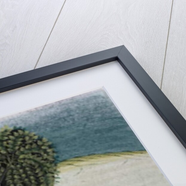 Indian lady at her toilet dressing her hair by Indian School