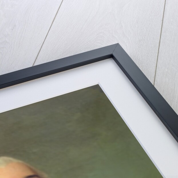 Victor Maurice de Riquet, comte de Caraman by Alexander Roslin