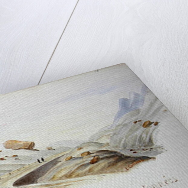 Erratic Blocks and Rocks at the Saint Gothard Pass in the Swiss Alps by French School