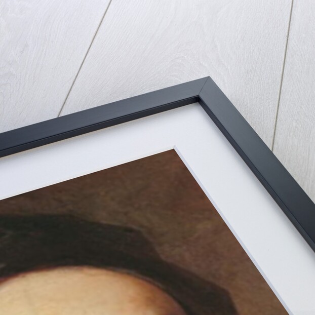 Bernard le Bovier de Fontenelle by Nicolas de Largilliere