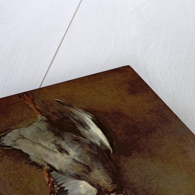 A mallard duck hanging on a wall with a Seville orange, 1720-30 by Jean-Baptiste Simeon Chardin