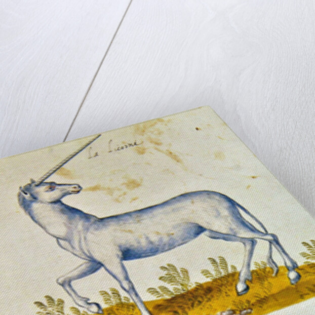 Drawings of a unicorn and a wild horse by French School
