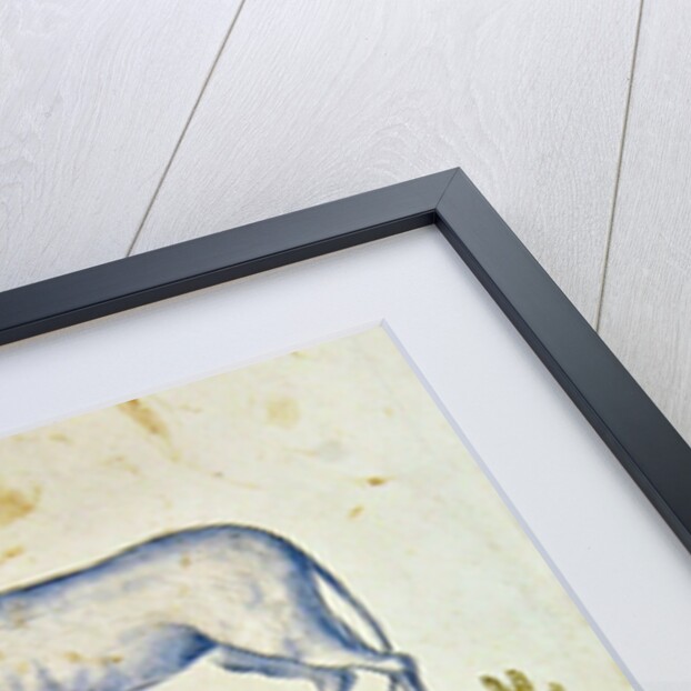 Drawings of a unicorn and a wild horse by French School