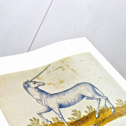 Drawings of a unicorn and a wild horse by French School