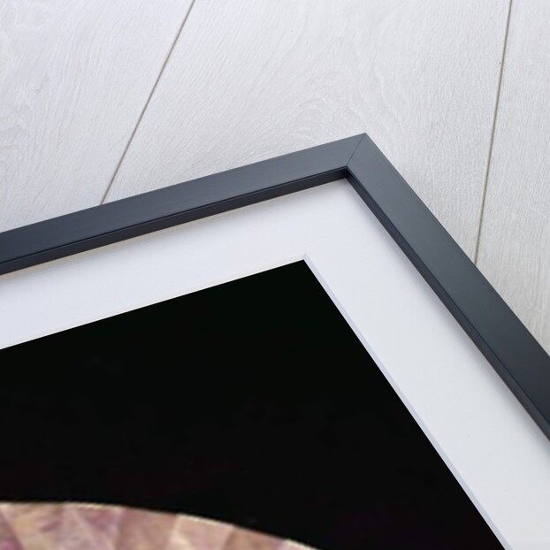 Fan painted for Madame Alice Louis-Barthou, 1910 by Pierre Loti