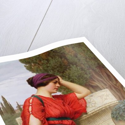 Portrait of Virginia Oldoini, Contessa di Castiglione, 1883 by Giovanni Boldini