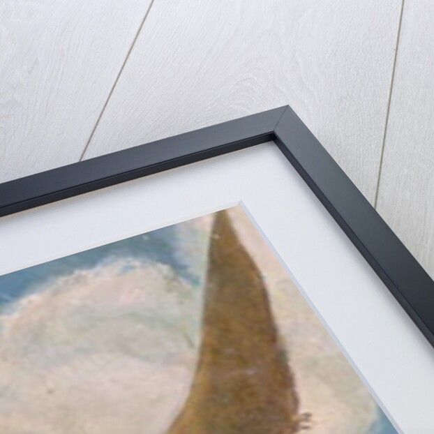 Pterodactyl fishing by French School