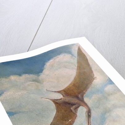 Pterodactyl fishing by French School