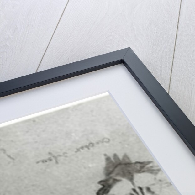 Drawing for the restoration of Notre Dame by French School