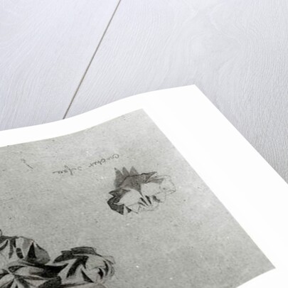 Drawing for the restoration of Notre Dame by French School