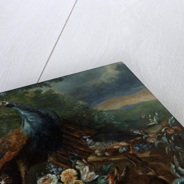 Landscape with Peacock and Game by Italian School
