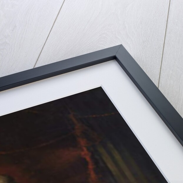 Portrait of a Lady, possibly Sarah Harriet Burney by Thomas Lawrence