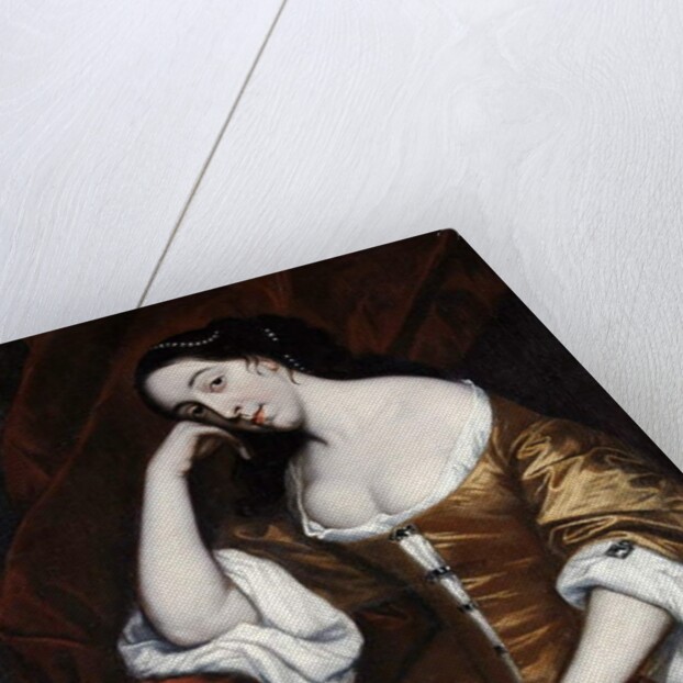 Portrait of a Lady, wearing a gold dress with red robes by Henry Anderton