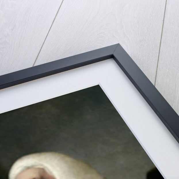 Rev. Thomas Wilson and Miss Catherine Macaulay by Joseph Wright of Derby