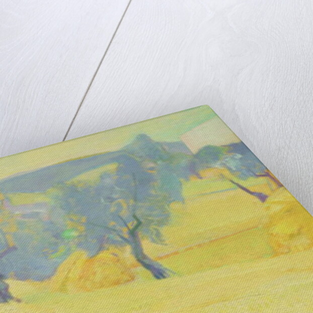 Olive Trees in Tuscany, 1966 by Antonio Ciccone