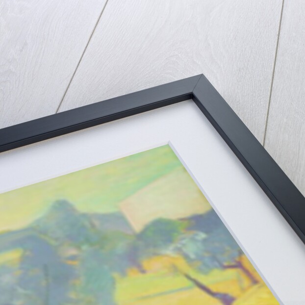 Olive Trees in Tuscany, 1966 by Antonio Ciccone