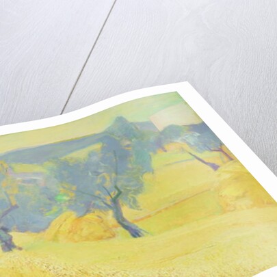 Olive Trees in Tuscany, 1966 by Antonio Ciccone