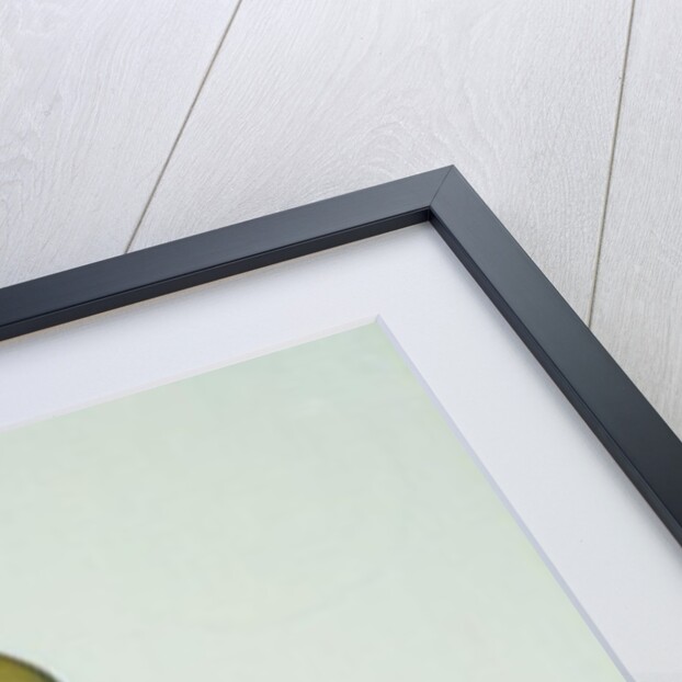 Tiana, 1969 by Antonio Ciccone