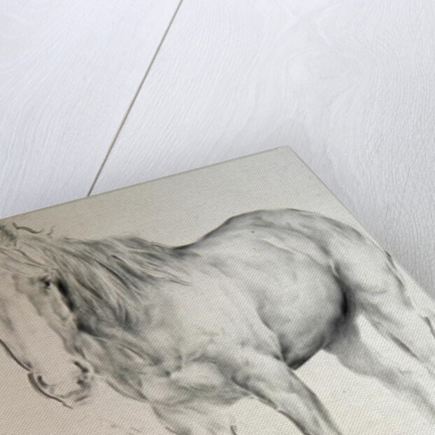 Horse at Coolmore, 1990 by Antonio Ciccone