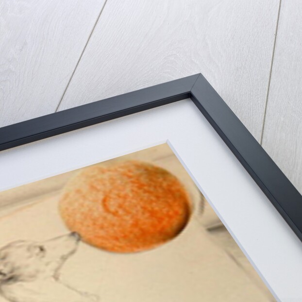 Space Dog by Antonio Ciccone