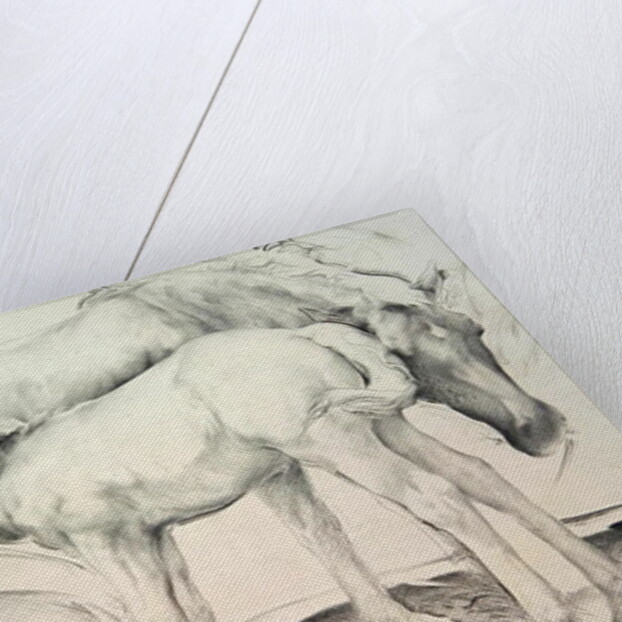 Horses at Coolmore, 1990 by Antonio Ciccone