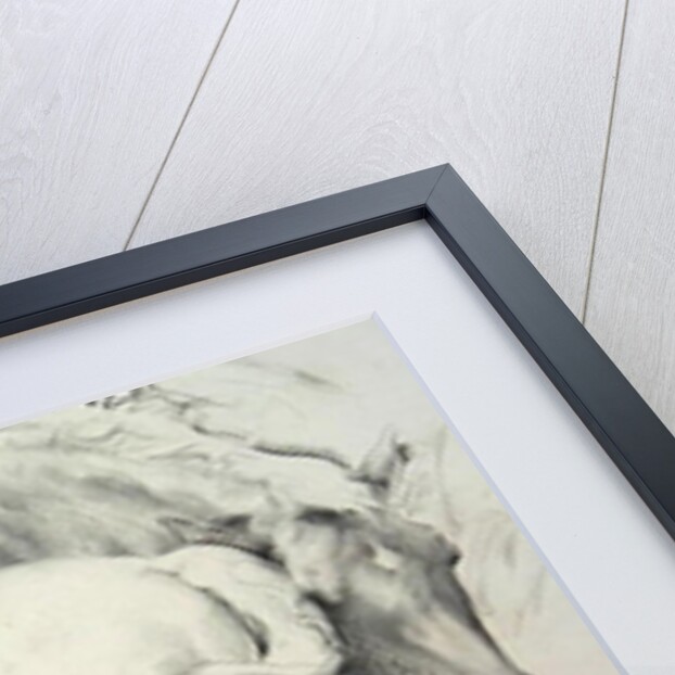 Horses at Coolmore, 1990 by Antonio Ciccone