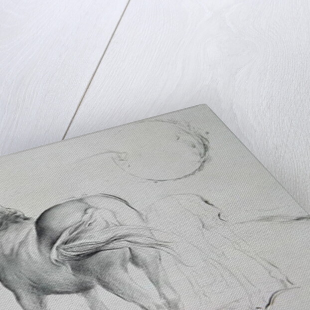 Horses at Coolmore, 1990 by Antonio Ciccone