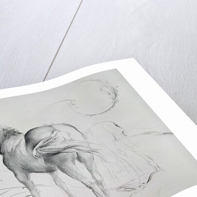 Horses at Coolmore, 1990 by Antonio Ciccone