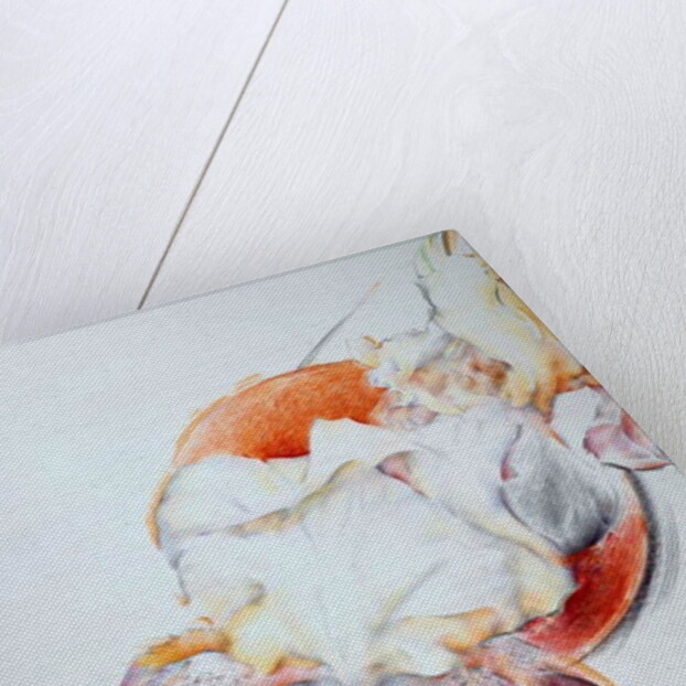 Iris - Composition IV by Antonio Ciccone