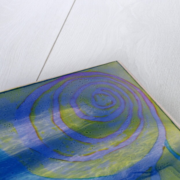 Boodhoo Lagoon, 2000 by Charlotte Johnstone