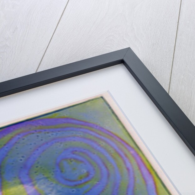 Boodhoo Lagoon, 2000 by Charlotte Johnstone