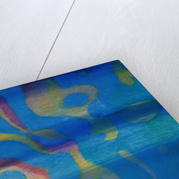 Indian Swarthy, 2000 by Charlotte Johnstone