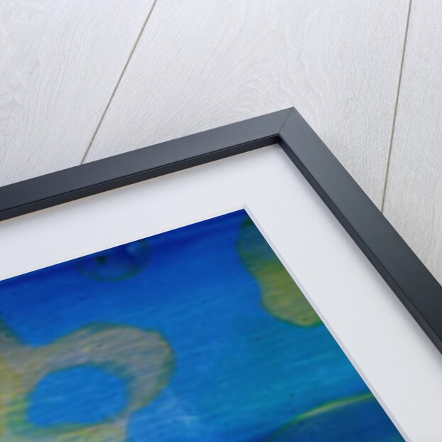 Indian Swarthy, 2000 by Charlotte Johnstone