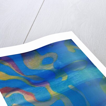 Indian Swarthy, 2000 by Charlotte Johnstone