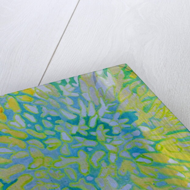 Acrapora, 2000 by Charlotte Johnstone