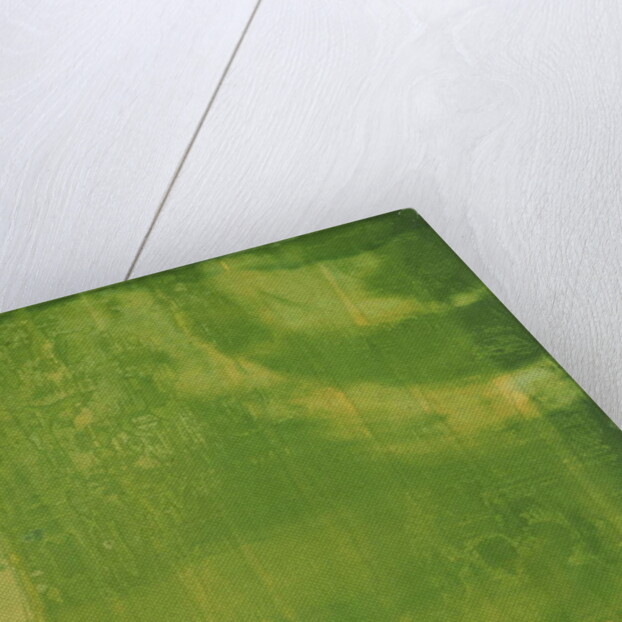 Bluerine Green, 1997 by Charlotte Johnstone