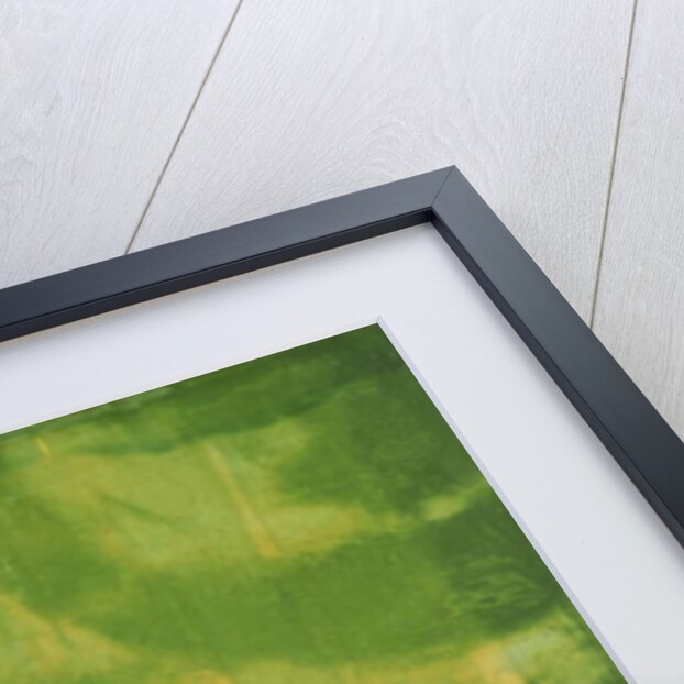 Bluerine Green, 1997 by Charlotte Johnstone