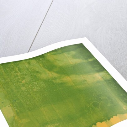 Bluerine Green, 1997 by Charlotte Johnstone