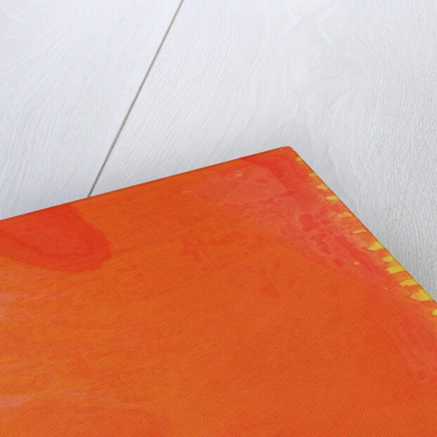 Rabbit Orange, 1997 by Charlotte Johnstone