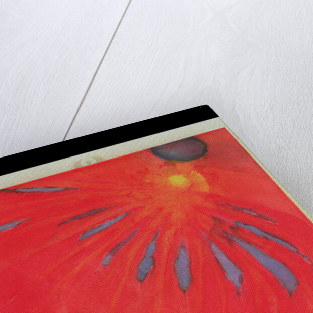 Fan Fire, 1997 by Charlotte Johnstone