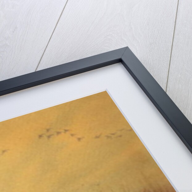 Mallard Ducks in a Lake, c.1890 by English School