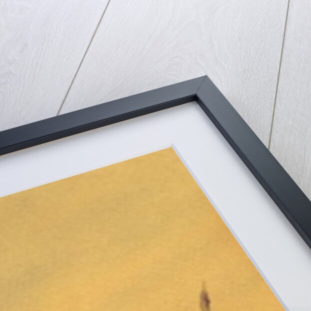 Two Ducks by a Reeded Bank, c.1890 by English School